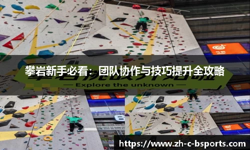 攀岩新手必看：团队协作与技巧提升全攻略